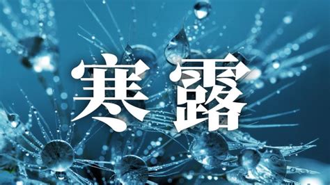 大寒節氣|24節氣大寒：習俗、禁忌、諺語、天氣、養生重點一次看